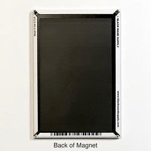 M166 - Funny Refrigerator Magnet